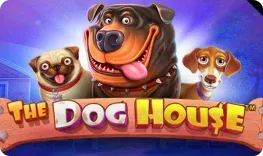 Goldwin – The Dog House